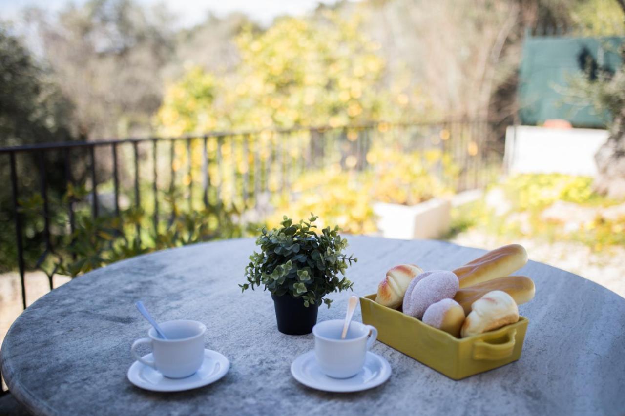 Vinaigrier Hills Vi3086 By Riviera Holiday Homes Nizza Esterno foto